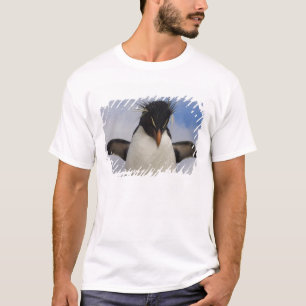 T-shirts Pinguim-de-crista Eudyptes chrysocome