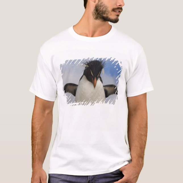 T-shirts Pinguim-de-crista Eudyptes chrysocome (Frente)
