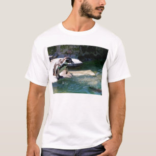 T-shirts Pinguim Humboldt