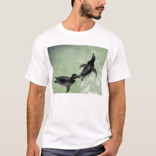 T-shirts Pinguins