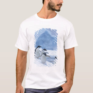 T-shirts Pinguins-de-adélia (Pygoscelis adeliae) no gelo,