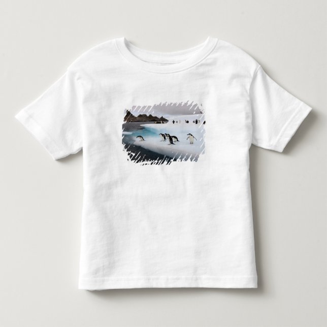 T-shirts Pinguins-de-barbicha (Frente)