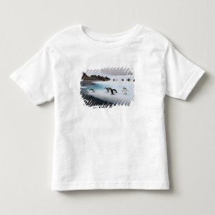 T-shirts pinguins do chinstrap, Pygoscelis a Antártica, 2