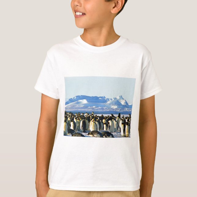 T-shirts Pinguins imperadores (Frente)