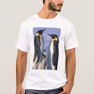 T-shirts Pinguins-imperadores (Aptenodytes forsteri) Adulto