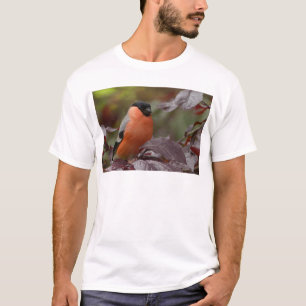T-shirts Pintarroxo-real