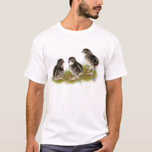 T-shirts Pintinhos Coturnix Quail