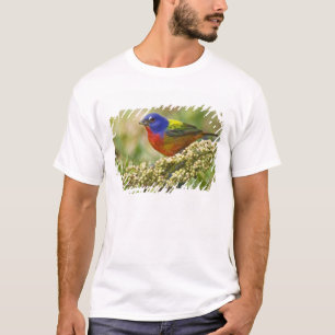 T-shirts Pintor Verdadeiro