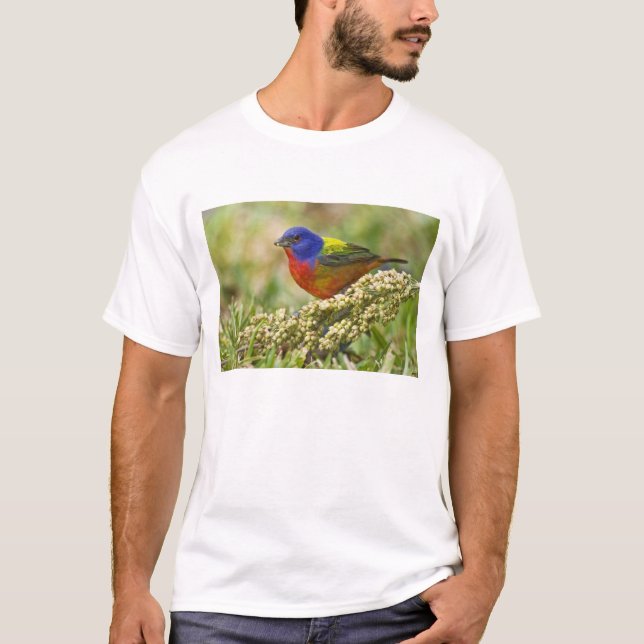 T-shirts Pintor Verdadeiro (Frente)