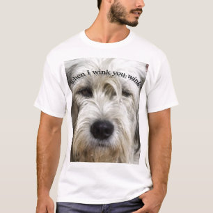 T-shirts pisc o cão