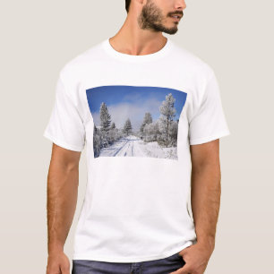 T-shirts Pista Nevada e Pinheiros, Cambrians, perto de St