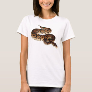 T-shirts Pitão da bola da canela