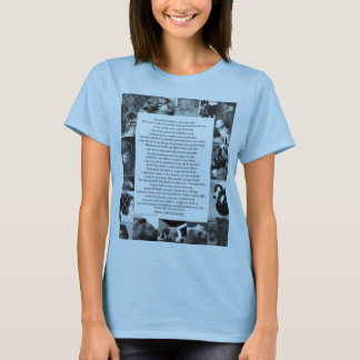 T-shirts Pitbull… Eu não quero lutar…