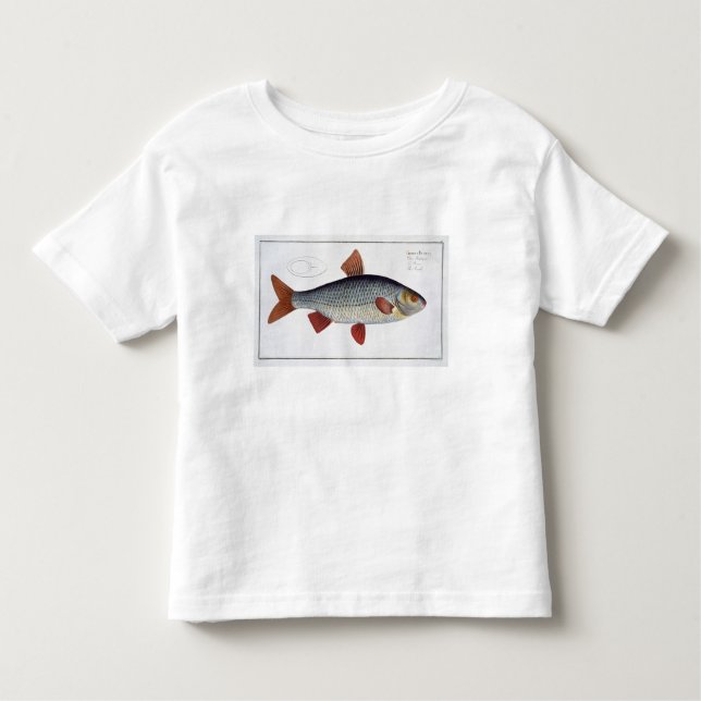 T-shirts Placa II da barata (Cyprinus Rutilis) 'de (Frente)