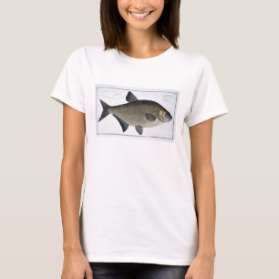 T-shirts Placa XIII da brema (Brama do Cyprinus) 'de