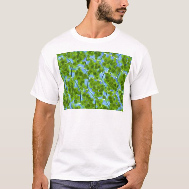 T-shirts Plagiomnium afina pilhas da planta com (Frente)