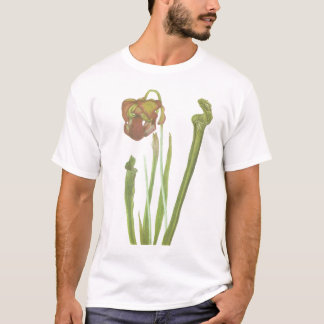 T-shirts Planta carnívora - drummondii do Sarracenia