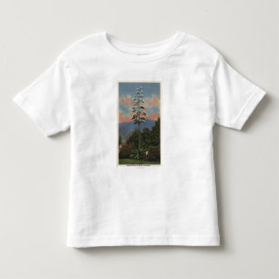 T-shirts Planta de CaliforniaCentury na flor