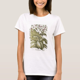 T-shirts Planta de tabaco, do "Hortus Eystettensis" por B