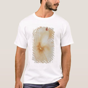 T-shirts Plantain do chifre