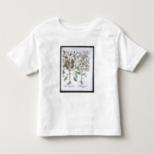 T-shirts Plantas da pimenta, 'do Hortus Eystettensi