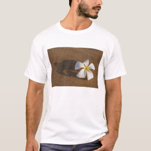 T-shirts Plumeria em praia arenosa, Maui, Havaí, EUA