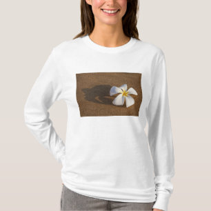 T-shirts Plumeria em praia arenosa, Maui, Havaí, EUA