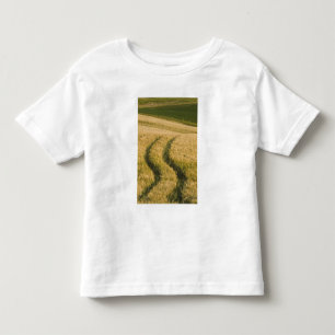 T-shirts Pneus de tratores através do trigo, Toscana, Itáli