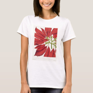 T-shirts Poinsétia Pulcherrima (litho da cor)