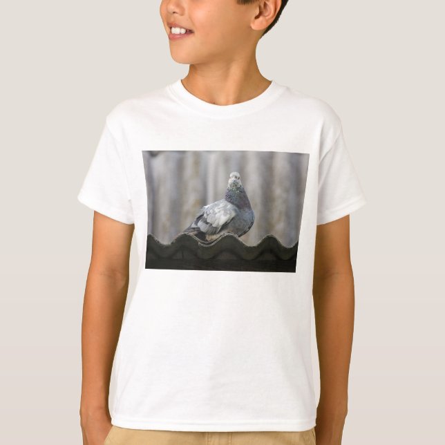 T-shirts Pombo no telhado. (Frente)