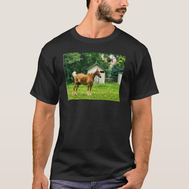 T-shirts Pônei Palomino no Pasto (Frente)