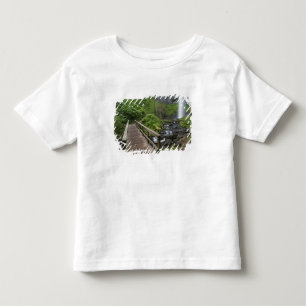 T-shirts Ponte em Latourell Falls, Columbia River Gorge,