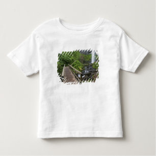 T-shirts Ponte em Latourell Falls, Rio Columbia Gorge,