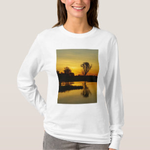 T-shirts Pôr do sol, Billabong Yellow Water