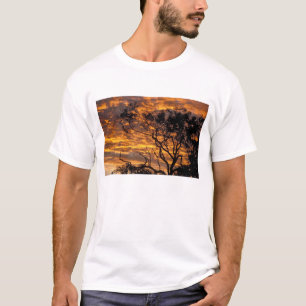 T-shirts Pôr do sol, Parque Nacional Uluru-Kata Tjuta,