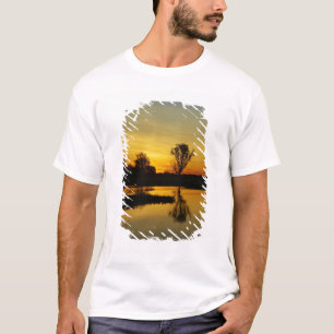T-shirts Pôr do sol, Yellow Water Billabong