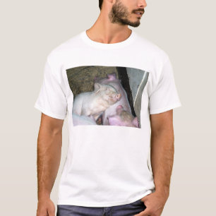 T-shirts Porcos do bebê