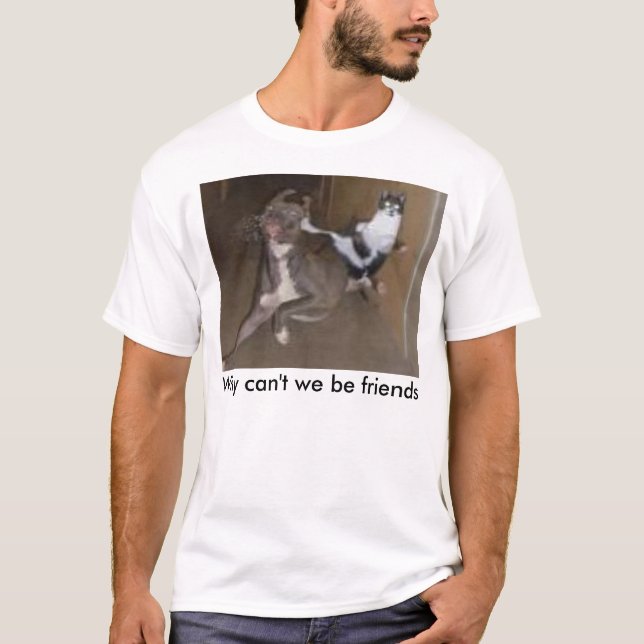 T-shirts Porque não podemos nós ser amigos (Frente)