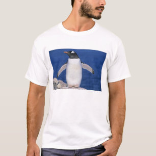 T-shirts Pôrto do Pinguim-de-gentoo (Pygoscelis papua)
