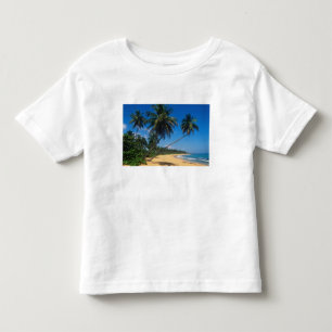 T-shirts Porto Rico, Isla Verde, palmeiras.