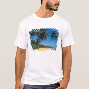 T-shirts Porto Rico, Isla Verde, palmeiras.