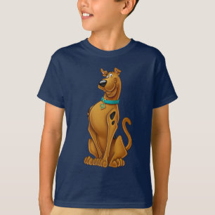 T-shirts Pose de Escovo de Ar Scooby-Doo