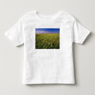 T-shirts Pradaria de grama curta no remoto nordeste
