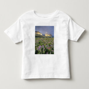 T-shirts Prado de Flores Silvestres perto do Lago Sherbourn