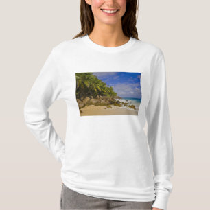 T-shirts Praia Anse Victorin 4