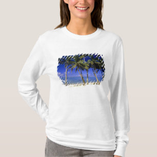 T-shirts Praia ladeada por palmeiras Ilhas Cook 4