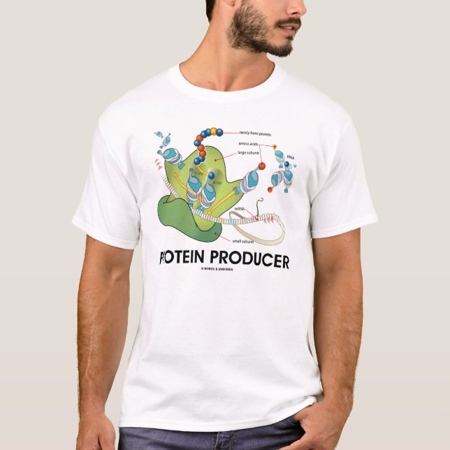 T-shirts Produtor da proteína (síntese da proteína) (Frente)