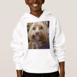 T-shirts Produtos de Cavapoo ou de Cavadoodle