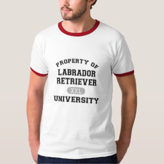T-shirts Propriedade da universidade de labrador retriever