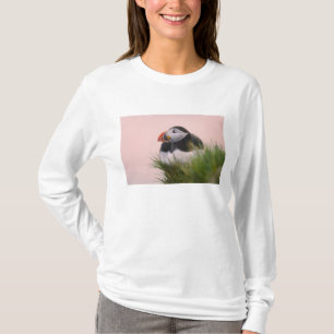 T-shirts Puffin Atlântico (Fratercula arctica)